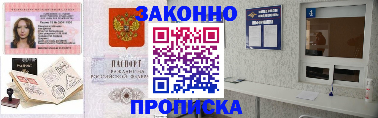 прописка в квартире в Белгородской области